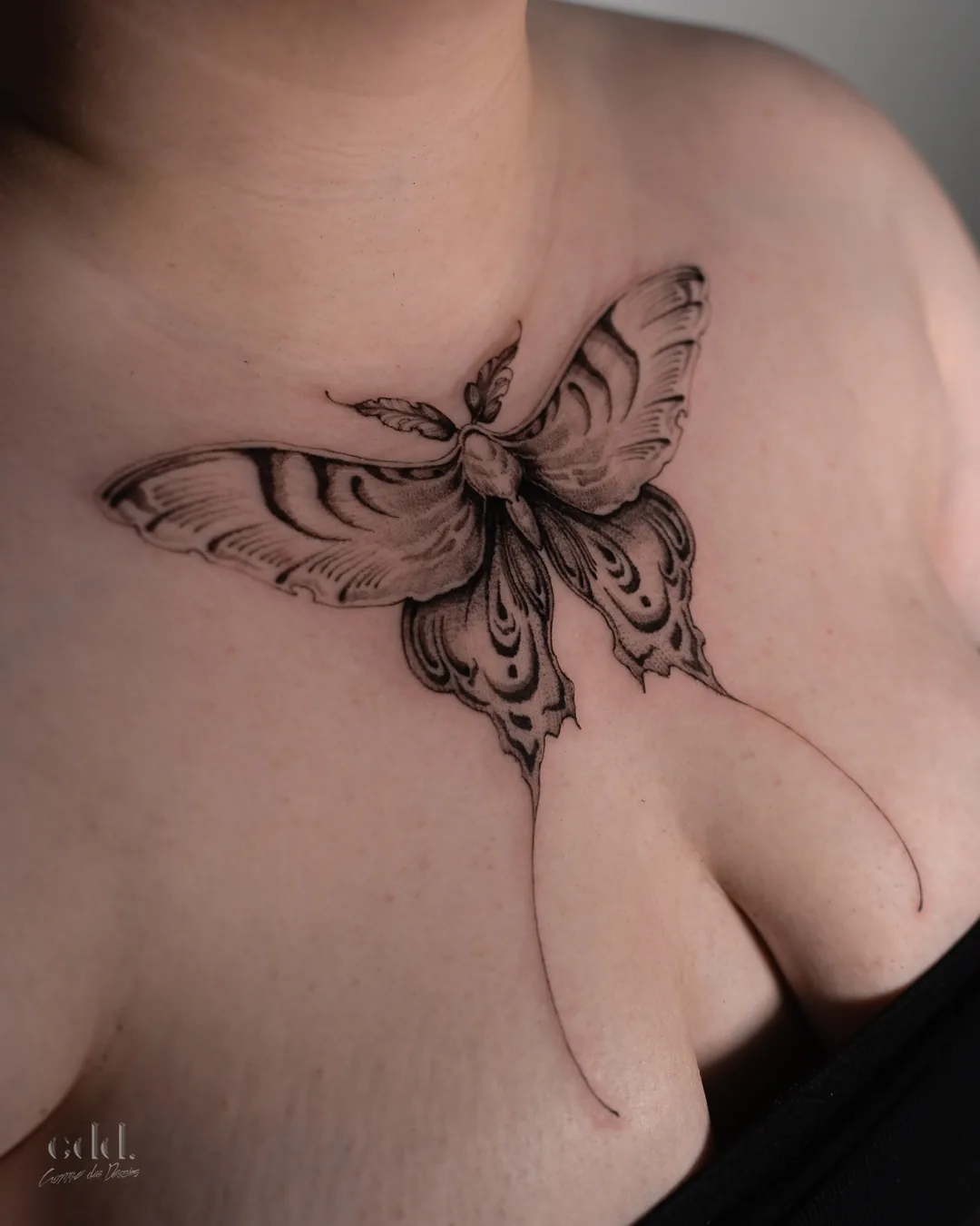 Moth, shoulder · tatouage par Comme des Dessins, tatoueur à Montréal · cddtattoo.com · Instagram @comme.des.dessins