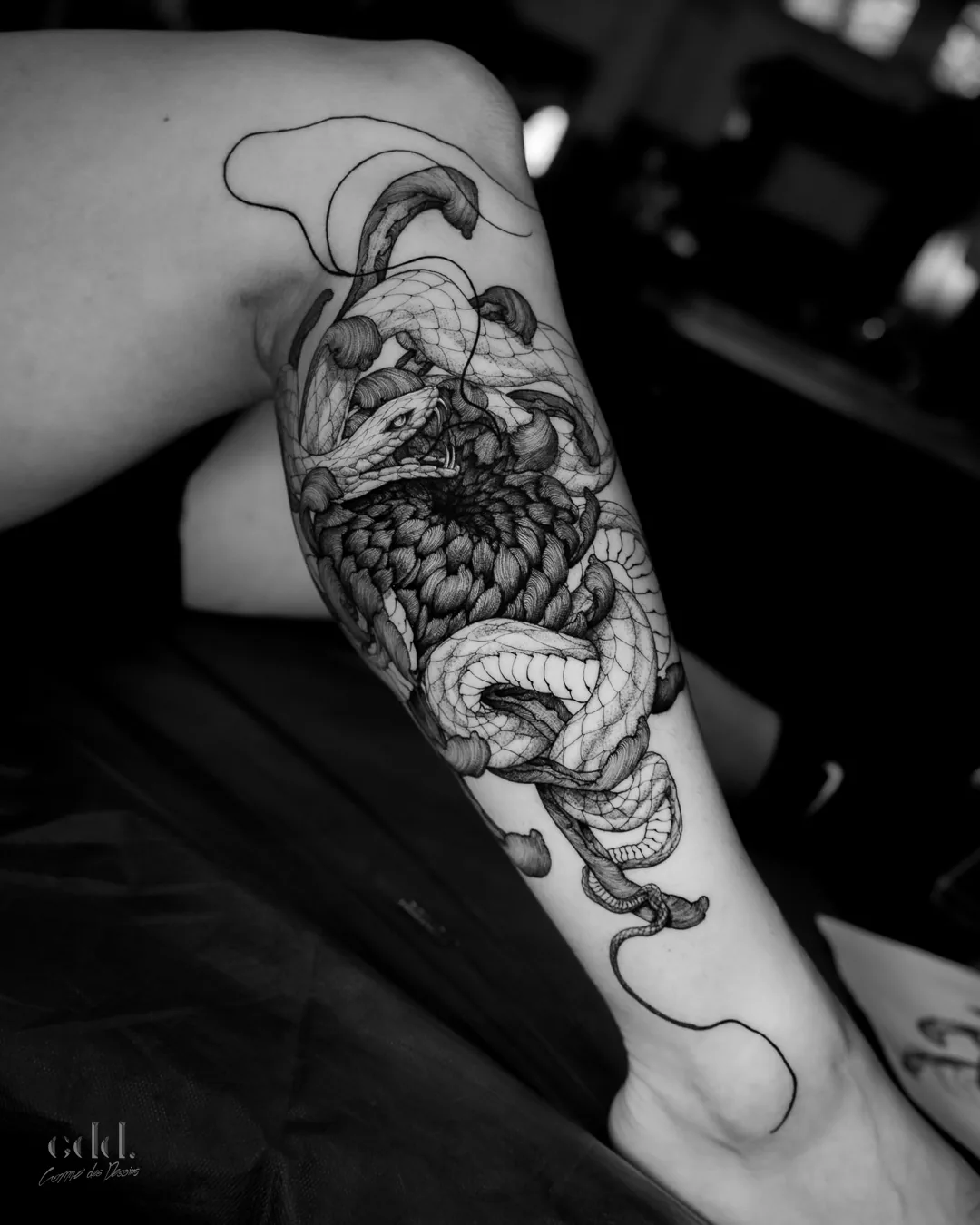 Snake, forearm · tatouage par Comme des Dessins, tatoueur à Montréal · cddtattoo.com · Instagram @comme.des.dessins