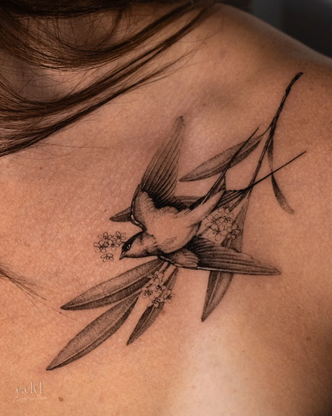Swallow, chest · tatouage par Comme des Dessins, tatoueur à Montréal · cddtattoo.com · Instagram @comme.des.dessins