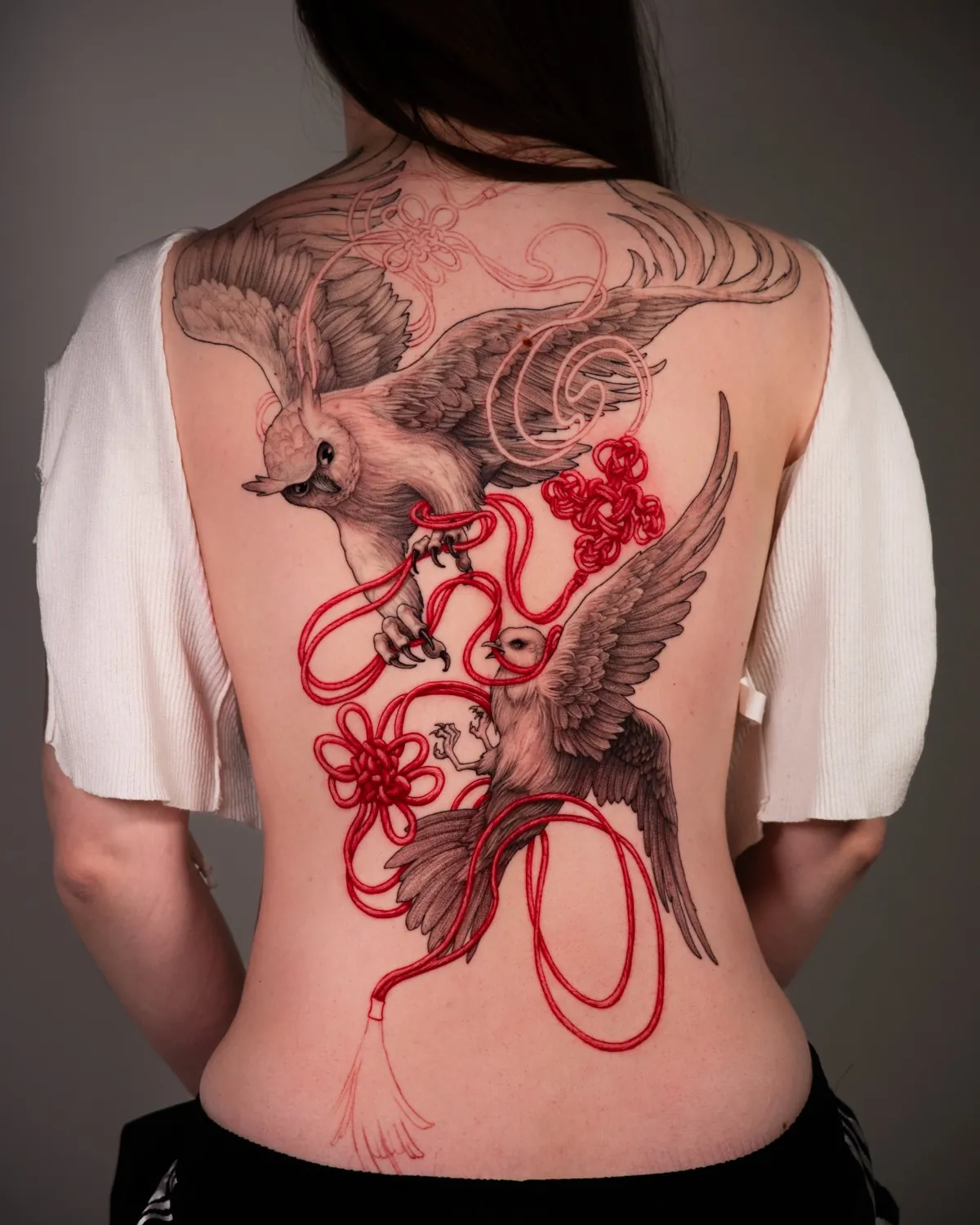 Red thread birds