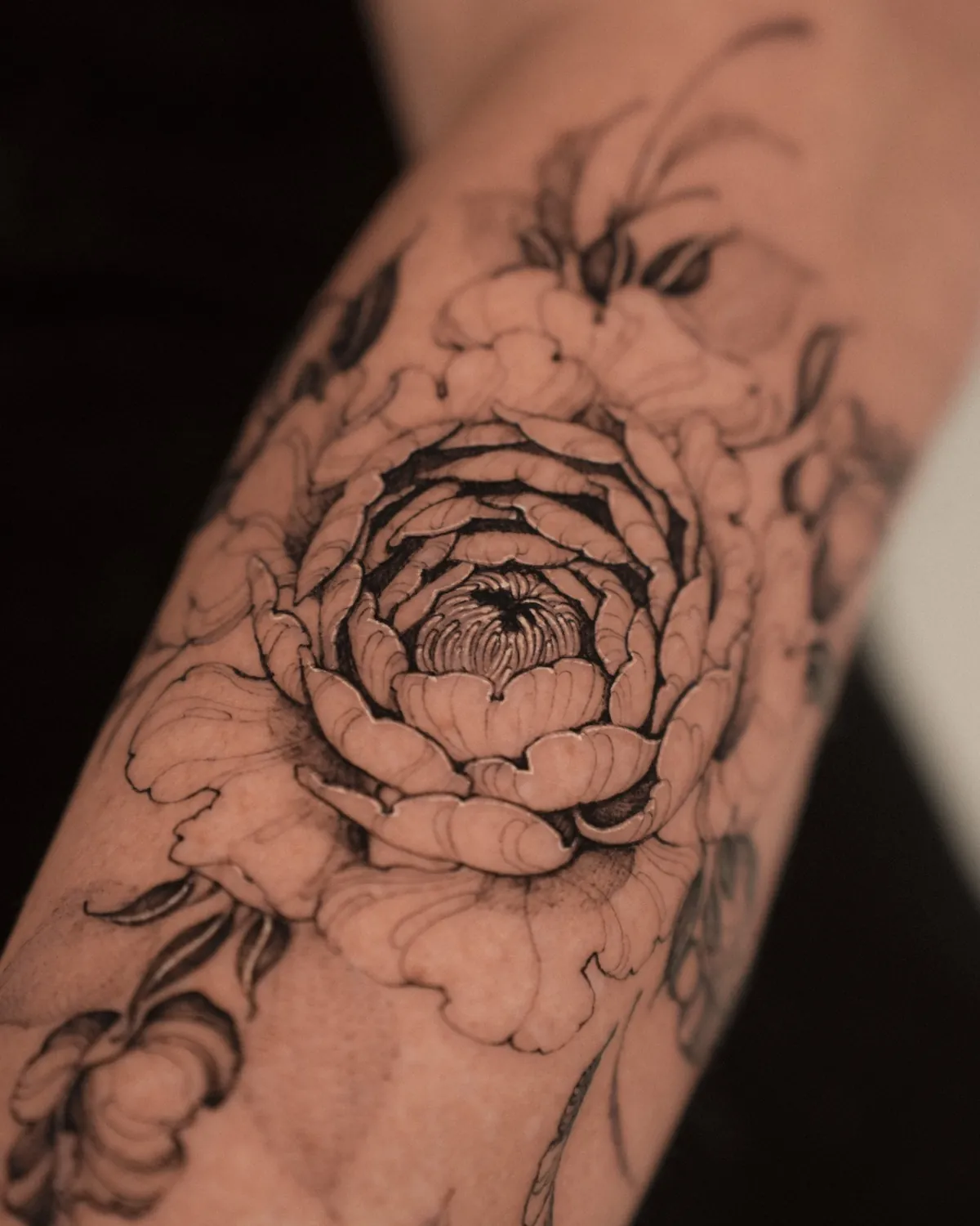 Peony